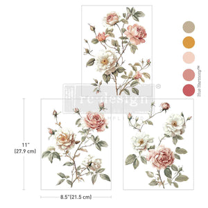 Creamy Blush Blooms - Middy Transfer - Medium Transfer