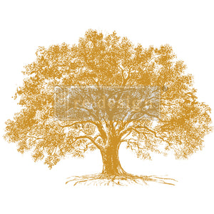 Growth - Kacha Gold Foil Transfer