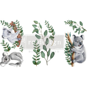 Friendly Koala - Mini Transfer - Small Transfer