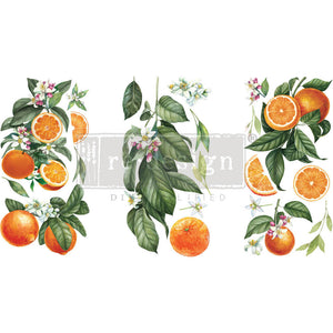 Citrus Slice - Mini Transfer - Small Transfer
