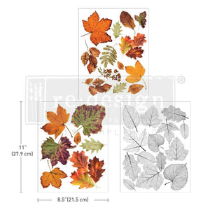 Crunchy Leaves Forever - Middy Transfer - Medium Transfer