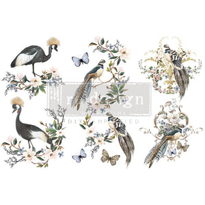 Rare Birds - Mini Transfer - Small Transfer