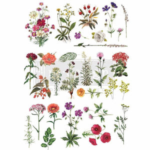 Floral Collection (Discontinued) Decor Transfer - Furniture Transfer