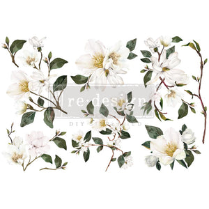 White Magnolia - Mini Transfer - Small Transfer