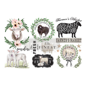 Sweet Lamb - Mini Transfer - Small Transfer