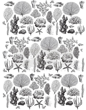COASTAL SEA LIFE, Rub On Furniture Decal Transfer, Redesign with Prima Decor Transfer 24″x32″ Same Day shipping
