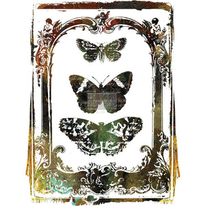 Butterfly Frame - Decor Transfer - Furniture Transfer