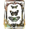 Butterfly Frame Decor Transfer
