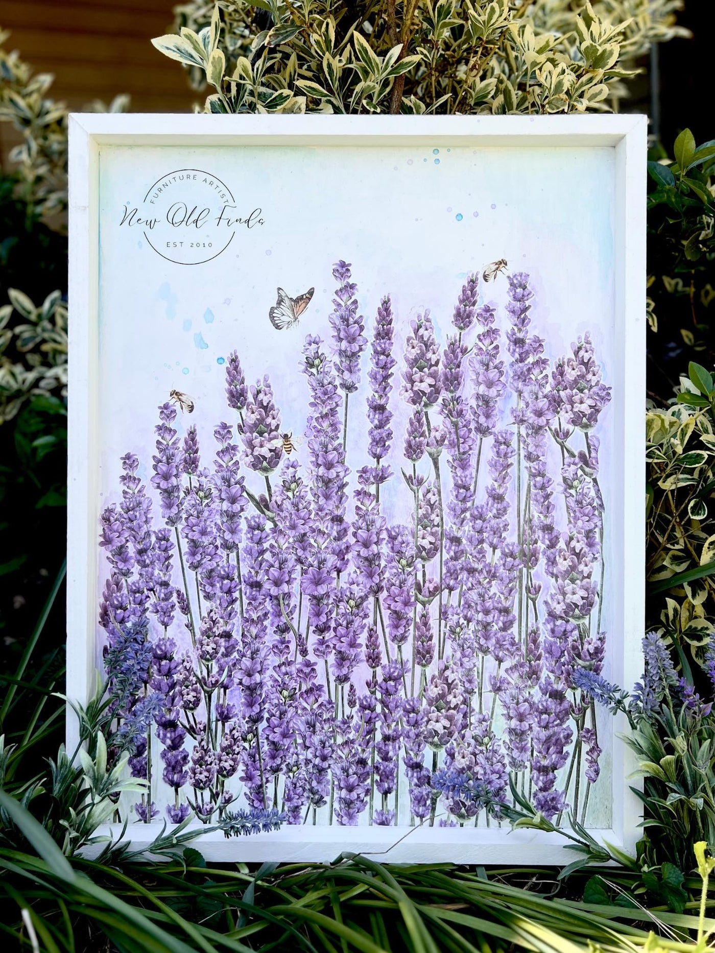 etsy lavender plant Champs de Lavende - Decor Transfer