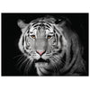 Monochrome Majesty - A1 Decoupage Paper - Fiber Paper