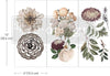 Natural Flora Small Transfer