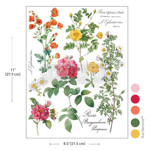 Poetry in Petals - H2O Decor Transfer