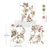 Rosette Royale- Middy Transfer - Medium Transfer