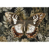 Rustling Wings - A3 Decoupage Fiber