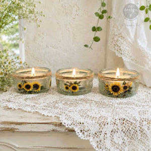 Sun-Drenched Harvest Luxe Transfer - image 2