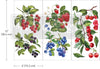 Sweet Berries Small Transfer