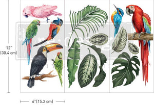Tropical Birds Small Transfer | Bird Furniture Transfer