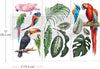 Tropical Birds Small Transfer