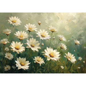 Whispering Daisies - A3 Decoupage Fiber