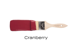 Cranberry Fusion paint color swatch