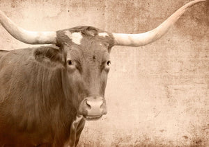 Texas Longhorn A1 Furniture Decoupage Paper, MINT by Michelle Decoupage