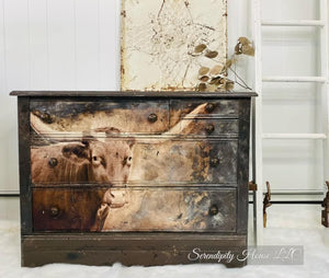 Texas Longhorn A1 Furniture Decoupage Paper, MINT by Michelle Decoupage