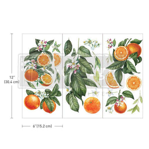 Citrus Slice Small Transfer | Fruit Furniture Transfer