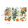 Citrus Slice Small Transfer | Fruit Furniture Transfer