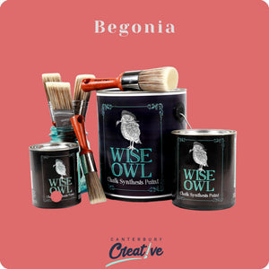 Begonia - DISCONTINUED- Wise Owl Chalk Synthesis Paint