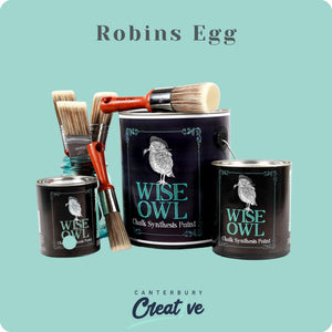 Robins Egg -DISCONTINUED- Pint Size - Wise Owl Chalk Synthesis Paint