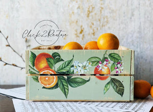 Citrus Slice Small Transfer | Fruit Furniture Transfer