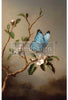 Cerulean Soliloquy Furniture Decoupage Paper - Redesign with Prima Fiber Tissue Sheet