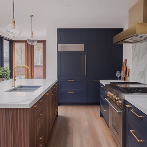 Design inspiration featuring Wise Owl color Anchor