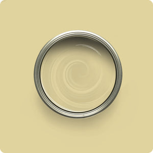 Wise Owl Durum Wheat paint color swatch