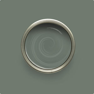 Wise Owl Earthen Ash paint color swatch