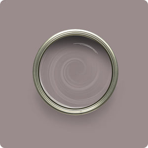 Wise Owl Essence paint color swatch