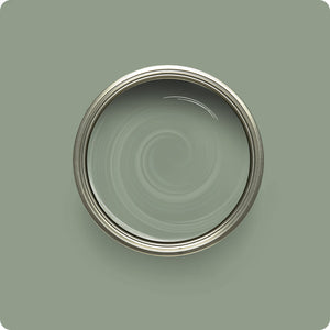 Wise Owl Forest Walk paint color swatch