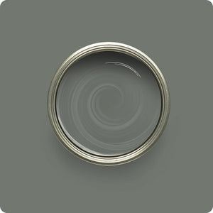 Wise Owl Foundation paint color swatch