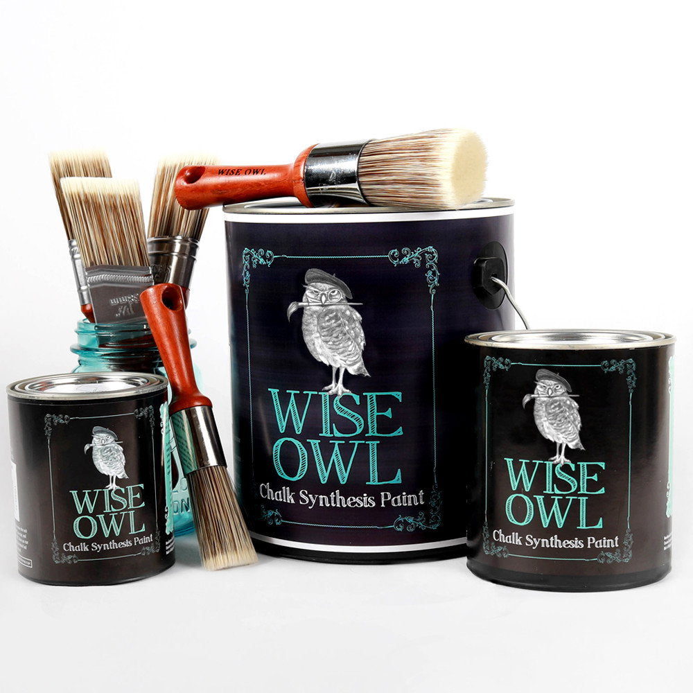 Wise Owl Furniture Painting Starter Kit with paint, varnish, cleaner, brush soap, and brush