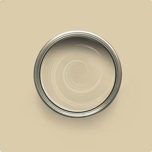 Wise Owl Natural Light paint color swatch