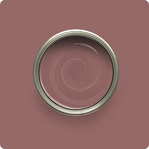 Wise Owl Red Agave paint color swatch