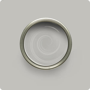 Wise Owl Silver Lining paint color swatch
