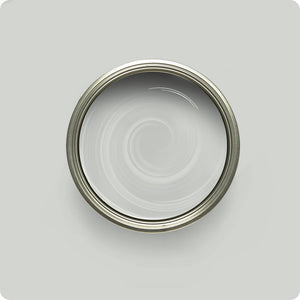 Wise Owl Silver Shine paint color swatch