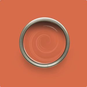 Wise Owl Terracotta paint color swatch