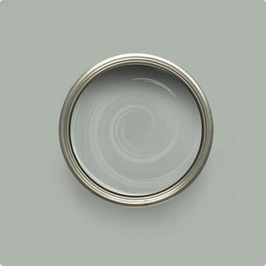 Wise Owl Urban Rhino paint color swatch