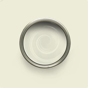 Wise Owl White Birch paint color swatch