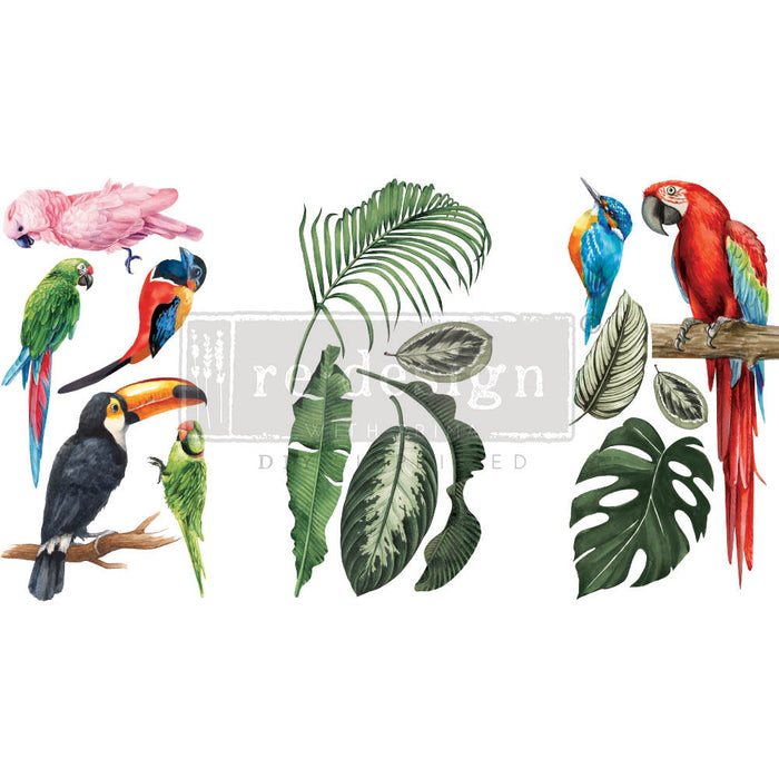 Tropical Birds - Mini Transfer - Small Transfer