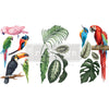 Tropical Birds - Mini Transfer - Small Transfer