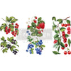 Sweet Berries - Mini Transfer - Small Transfer