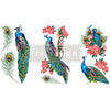 Royal Peacock - Mini Transfer - Small Transfer